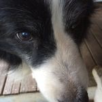 @aiden_herbert - Instagram