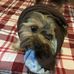 Aiden Herrera - Facebook