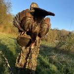 Aiden Hickman - @aidenhickman5 - Instagram