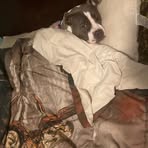 Aiden Hicks - Facebook