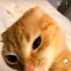 Aidan Hodges - @aidan.hodges8 - TikTok