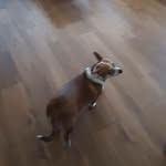aidenholman - @aidenholman7 - Instagram