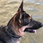 Aiden Holtman - @aidenholtman - Instagram