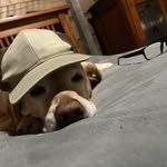 Aiden Hood - @ahood__02 - Instagram