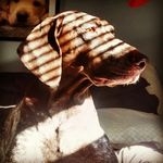 Aiden Huber - @cadmiumbq - Instagram