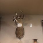 Aiden Huber - @aidenhuber50 - Instagram