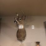 Aiden Huber - Facebook