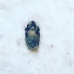 @aiden_hunting - Instagram