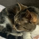 Aiden - @aidenhurst8_ - Instagram