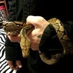 Aiden Ingram - @snakesarelifeawsome - Instagram