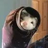 aidenjefferson793 - @somejefferson - TikTok