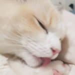 Aidenkang - @aidenkang - Instagram