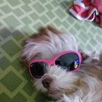 Aiden Keith Purificacion - Facebook