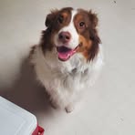 Aiden Keller - Facebook