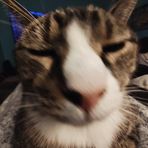 Aiden Keller - Facebook