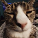 Aiden Keller - @aiden_keller47 - Instagram