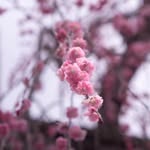 Aiden kenney - @ak_artworks22 - Instagram