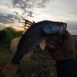 Aiden Kent - @aidenkent40 - Instagram