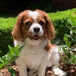Aiden Kent - @aiden_kentt - Instagram