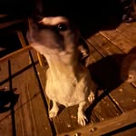 Aiden Knapp - @englarest2 - Instagram