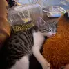 Aiden Knapp - @a1d3n0315 - TikTok