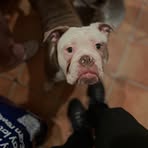Aiden Knight - Facebook