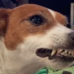 Xs_AJL - @aiden_landry19 - Instagram