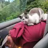 Aiden Leach - @aiden.l_hampton - TikTok