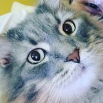 Aiden Ledbetter - @ledbetterthanthebest - Instagram