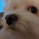Aiden Legge-Allen - @aidenleggeallen - Instagram