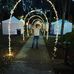 Aiden Levi - Facebook