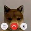 Aiden Linek - @aiden.linek - TikTok