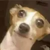 aidensline420 - @aidensline420 - TikTok