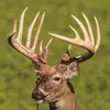 Aiden Lowe - @aiden.lowe33 - TikTok