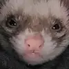 Aiden - @aidenlynn181 - TikTok