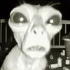 aidenlynnnnn🦦 - @aidenlynnnnn - TikTok