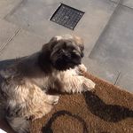 Aiden Macdonald - @aiden_afc - Instagram
