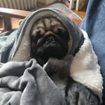 Aiden MacDonald - @aiden18204 - Instagram