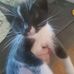 Aidan Mai - Facebook