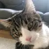 Aiden Mai - @rimo2rex - TikTok