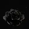 aidenmai2 - @aiden.mai - TikTok