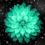 Aiden Maloney - @aiden.maloney - Instagram