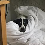 Aiden_m - @__aiden_manning__ - Instagram