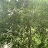 aidenmayer - @aidenmayer7 - TikTok