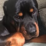 Aiden McCarthy - @aidens_otheracc - Instagram