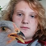 Aiden Mccarty - @aidenmccarty40 - Instagram