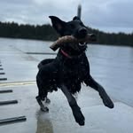 Aiden McCormick - @aiden.mccormick1 - Instagram