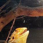 Aiden McDonnell - @mcdonnell_aiden - Instagram
