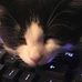 Aiden McDonnell - Facebook