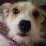 Aiden McDowell - @im_himthe4 - Instagram